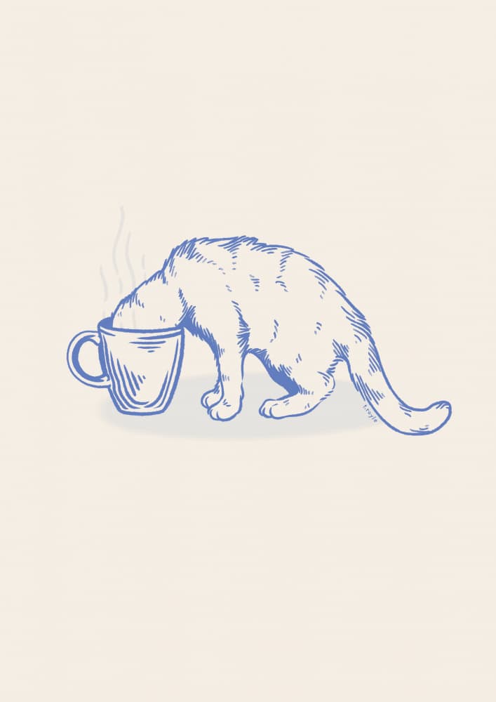 Curious Coffee Cat by Tara Royle — canvas wall art