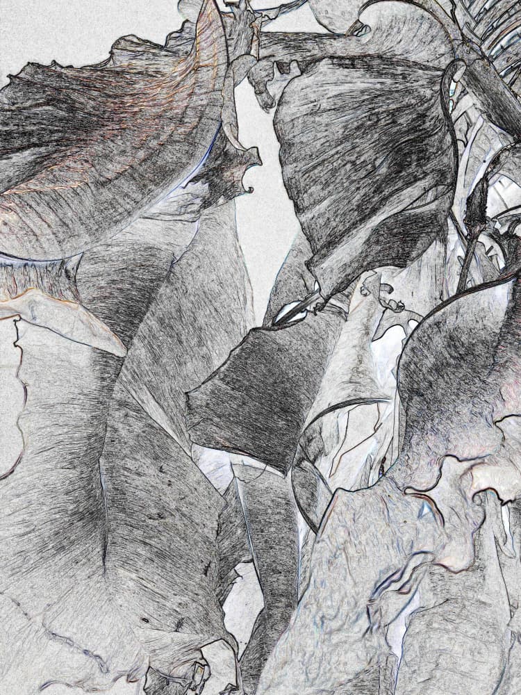Organic Leaf Sketch by Santhosh ch — canvas wall art
