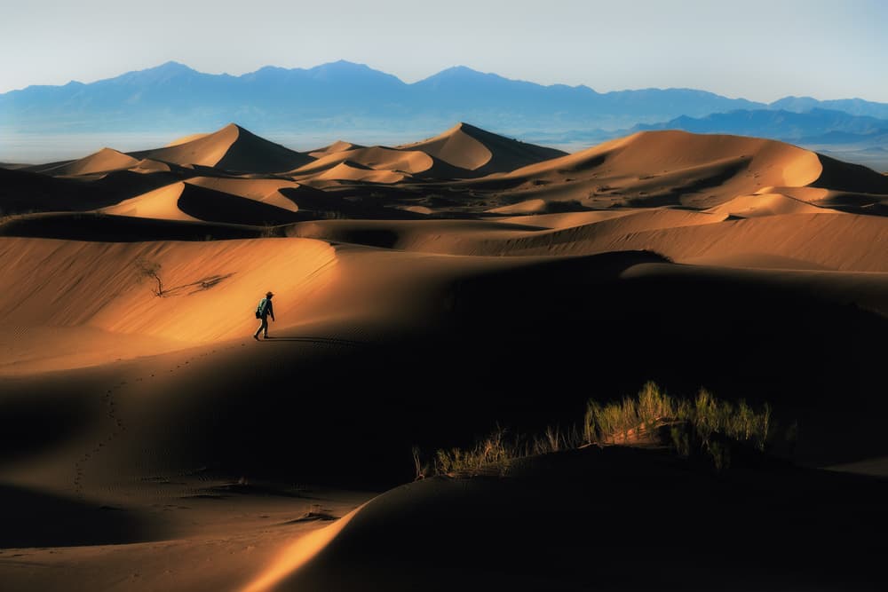 Desert Wanderer's Golden Light by Babak Mehrafshar — canvas wall art