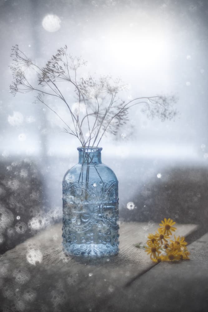 Serene Blue Vase by Vadim Fedotov (Vadius) — canvas wall art