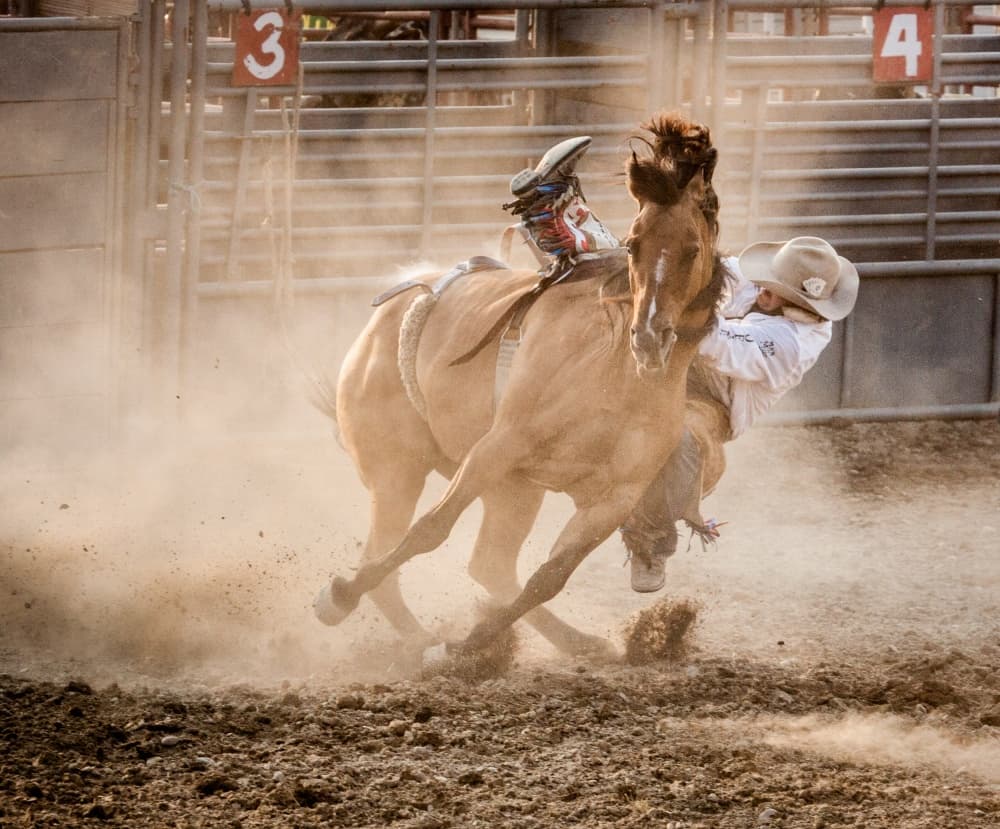 Bucking Horse Rodeo Action by Jay Heiser — canvas wall art