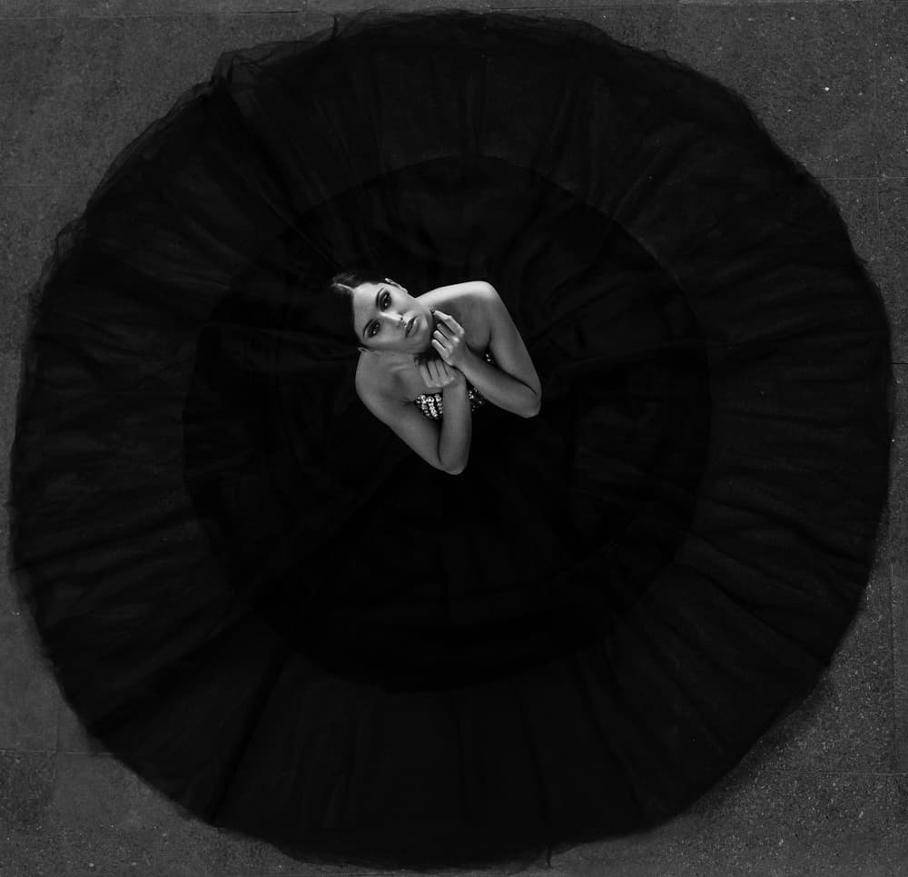 Black swan by Martin Krystynek MQEP — canvas wall art