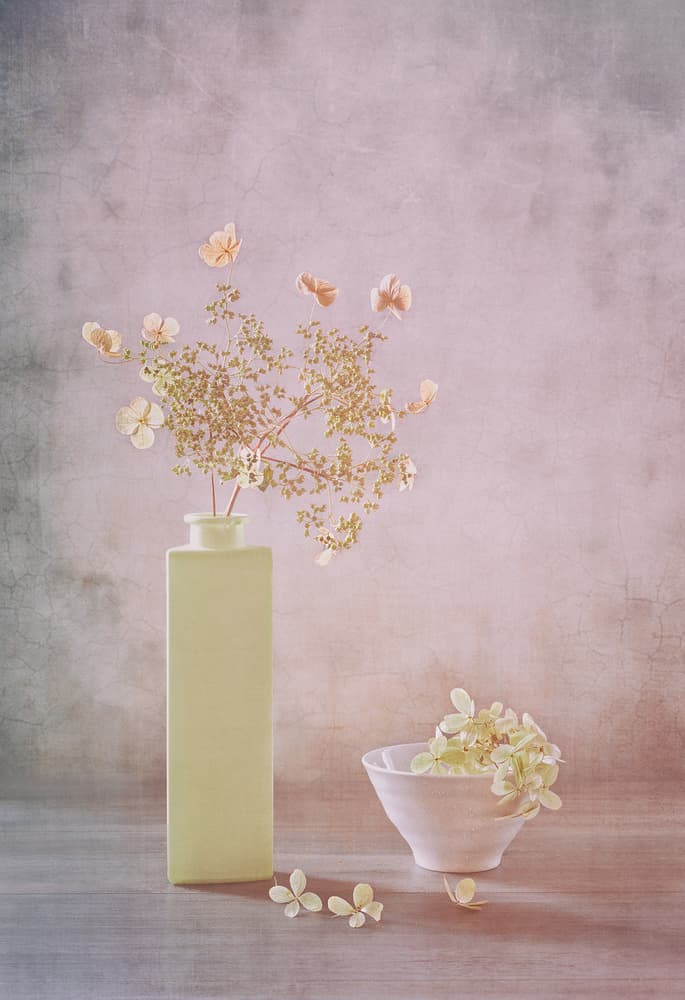 Delicate Pastel Still Life by Sophie Pan — canvas wall art
