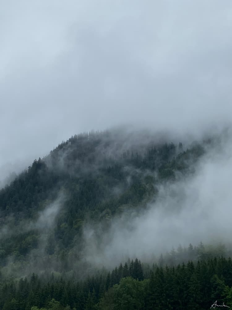 Misty Mountain Forest by Annika John — canvas wall art