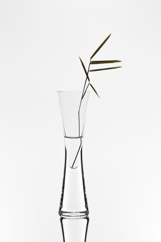 Minimalist Bamboo Vase by Christian Pabst — canvas wall art