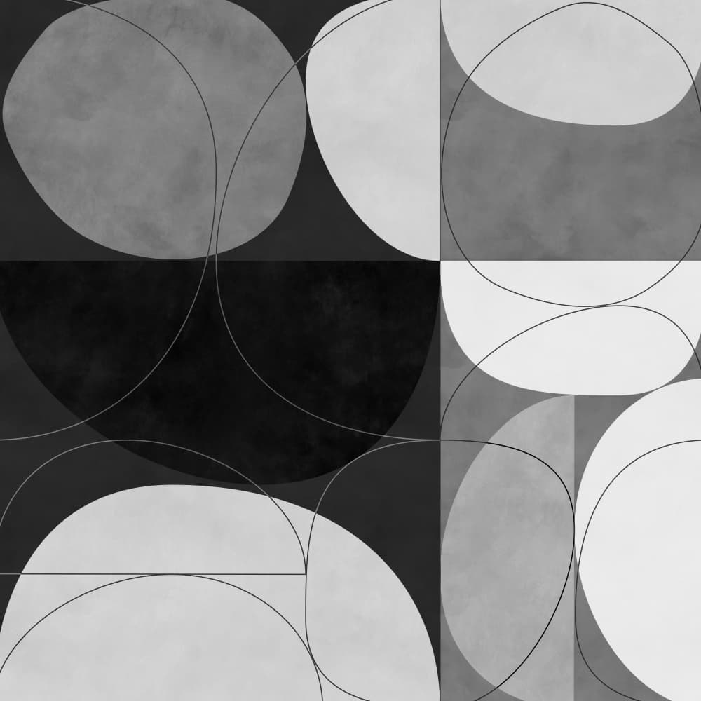 Shapesbw3 Kopie by Ana Rut Bre — canvas wall art