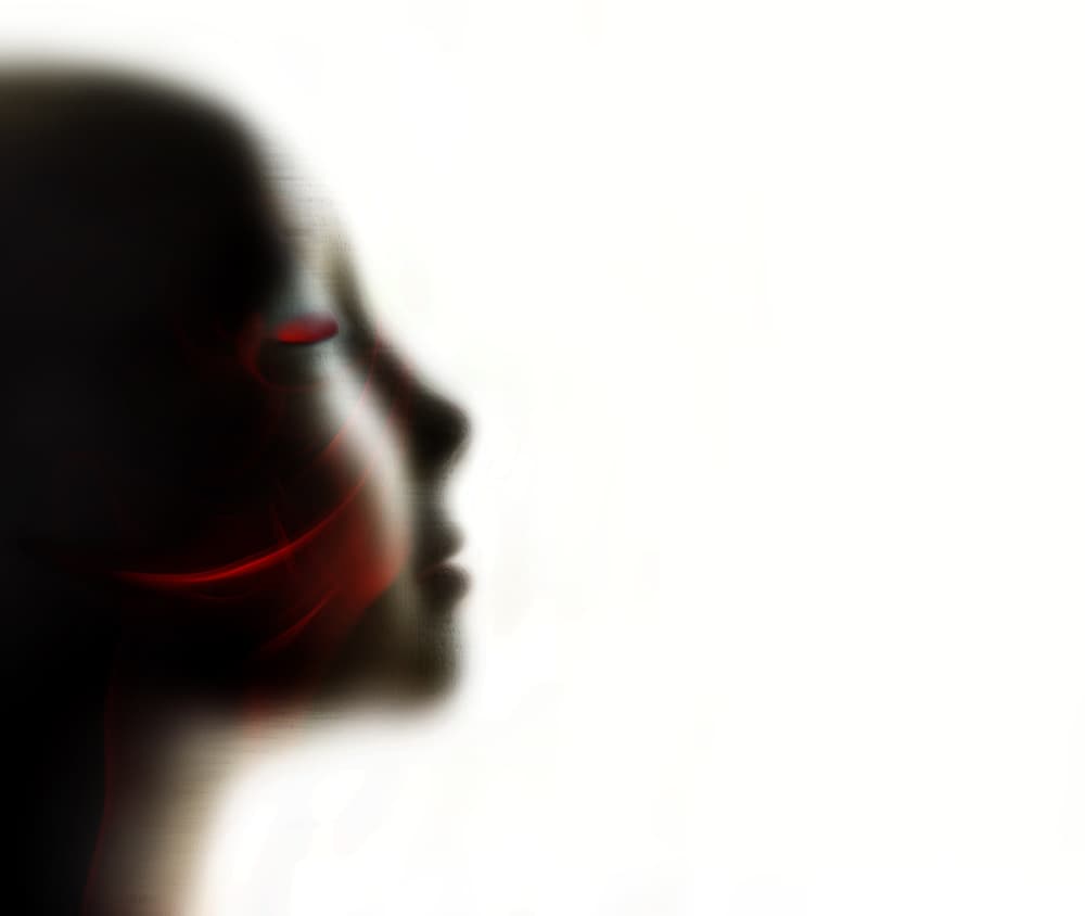 Red Glow Profile by Heidi Westum — canvas wall art