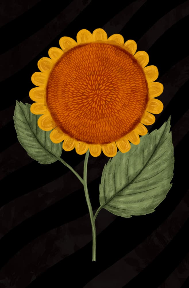 Golden Sunflower Bloom by EMELIEmaria — canvas wall art