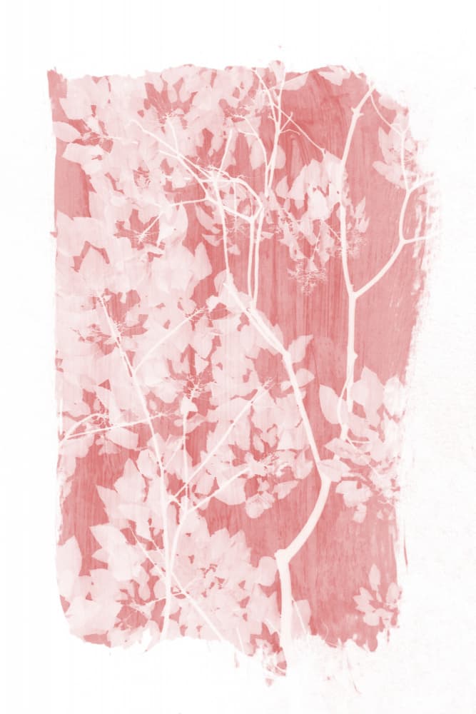 Pink Leaf Silhouette by amini54 — canvas wall art