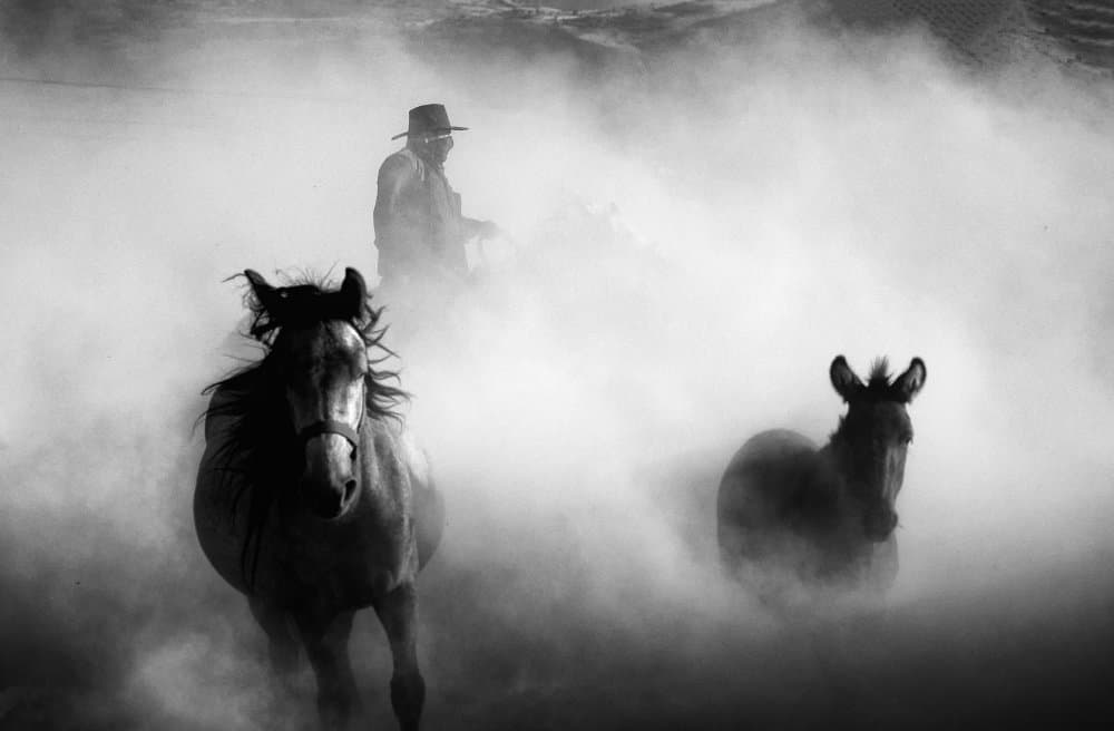 Wild Horses Cowboy Dust by Gilcan Mete — canvas wall art