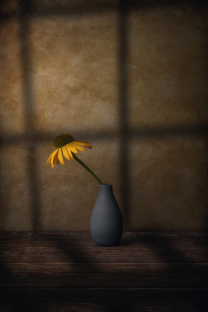 Yellow Flower Shadow by Marko Klavs — canvas wall art