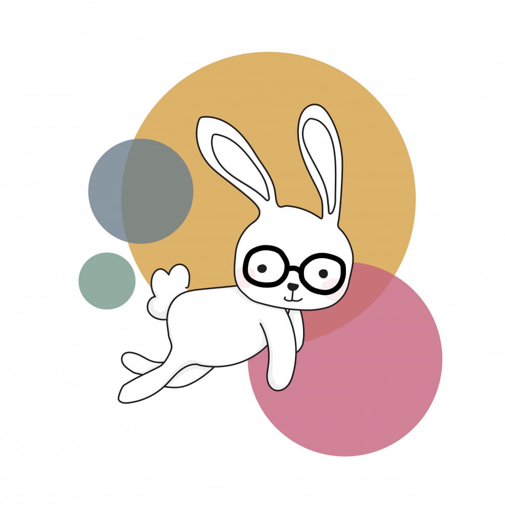 Cute Bunny With Glasses by Christina Heitmann — canvas wall art