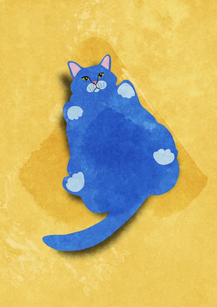 Fat Cat by Raissa Oltmanns — canvas wall art