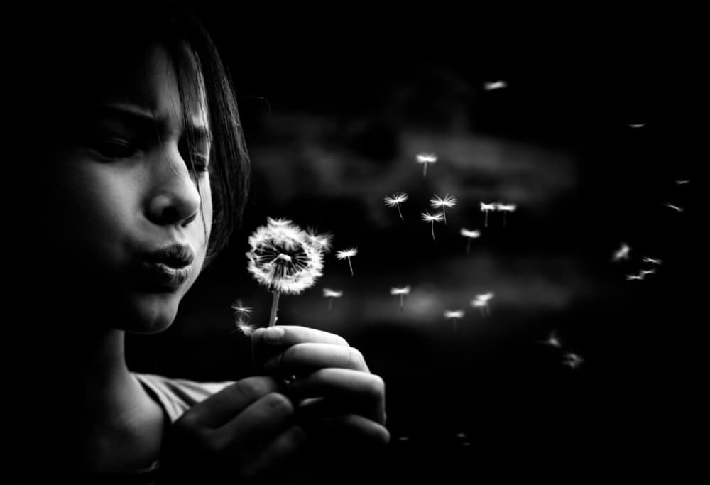 Innocent Dandelion Wish by Stephanie Kleimann — canvas wall art