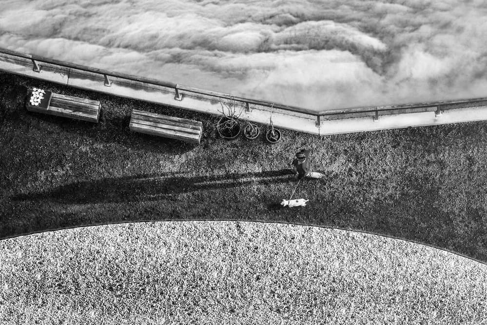 Dog Walking Above Clouds by Davorin Baloh — canvas wall art