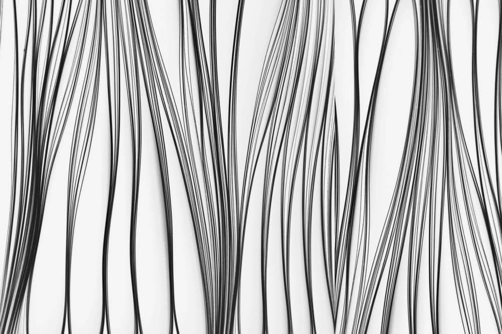 Flowing Dark Lines by Giedre Trakimaviciene — canvas wall art