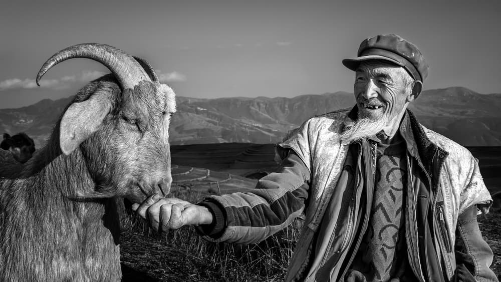 Man and Goat Bond by Gunarto Song — canvas wall art