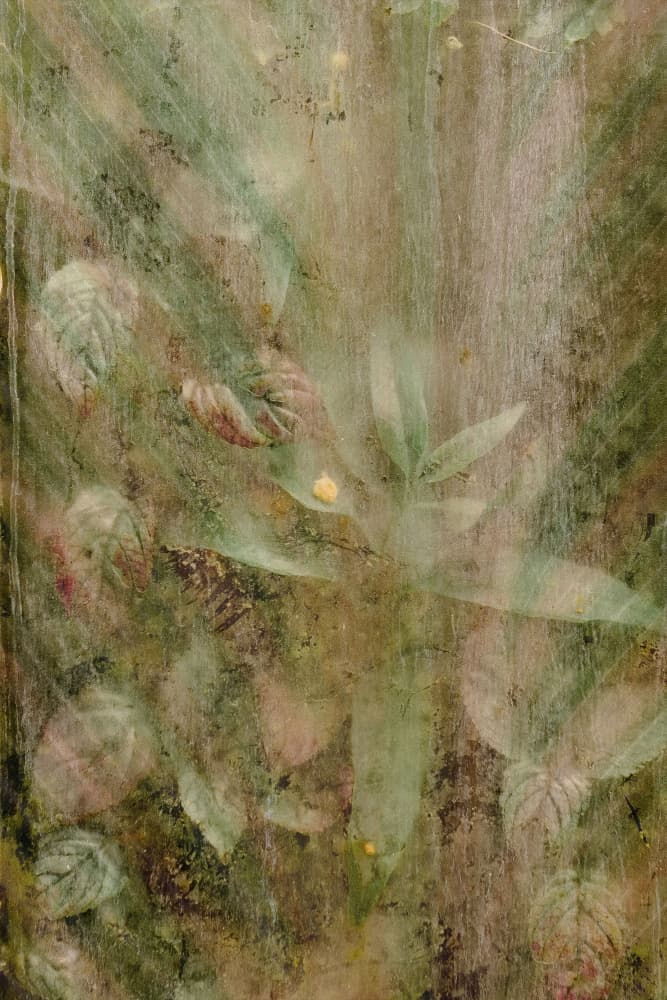 Soft Forest Leaves by Pelin Atilla — canvas wall art