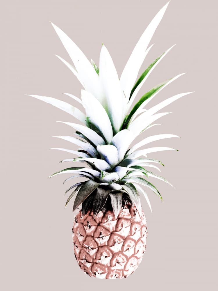 Blush Pineapple by Gemma Bardot — canvas wall art