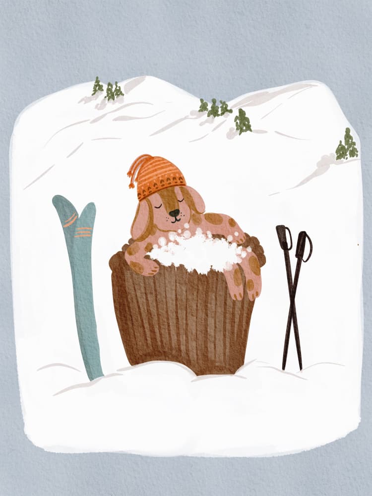 Cozy Ski Dog Nap by Nikita Jariwala — canvas wall art