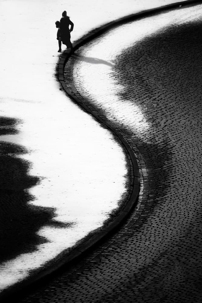 Winding Path Silhouettes by Anna Niemiec — canvas wall art
