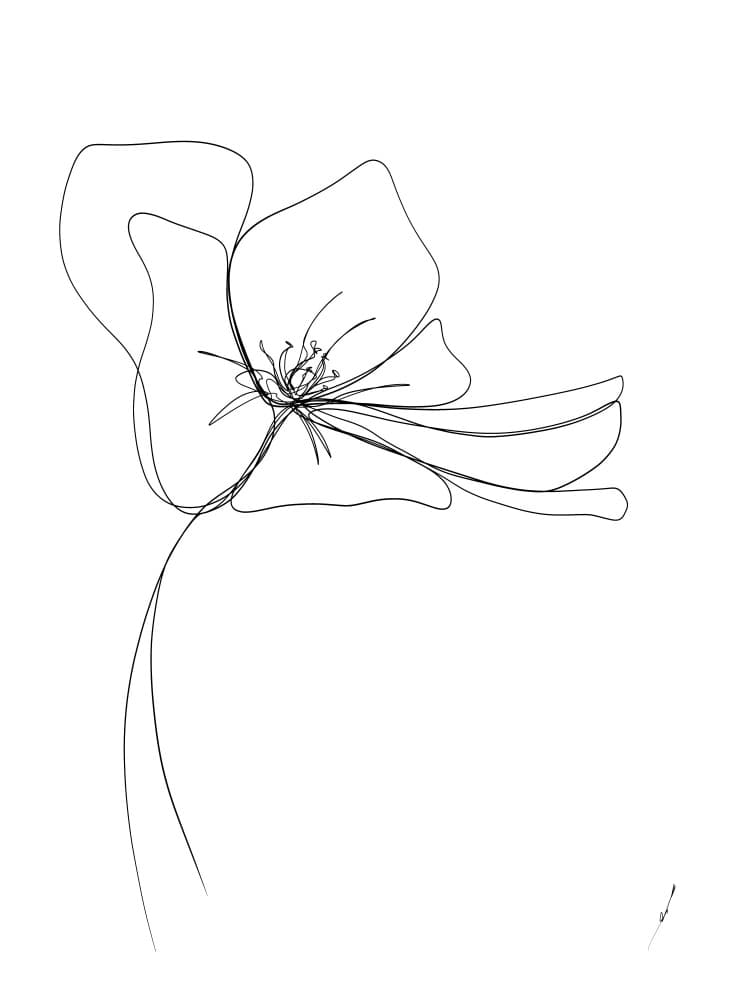 Elegant Floral Line by Ankie Kooi — canvas wall art