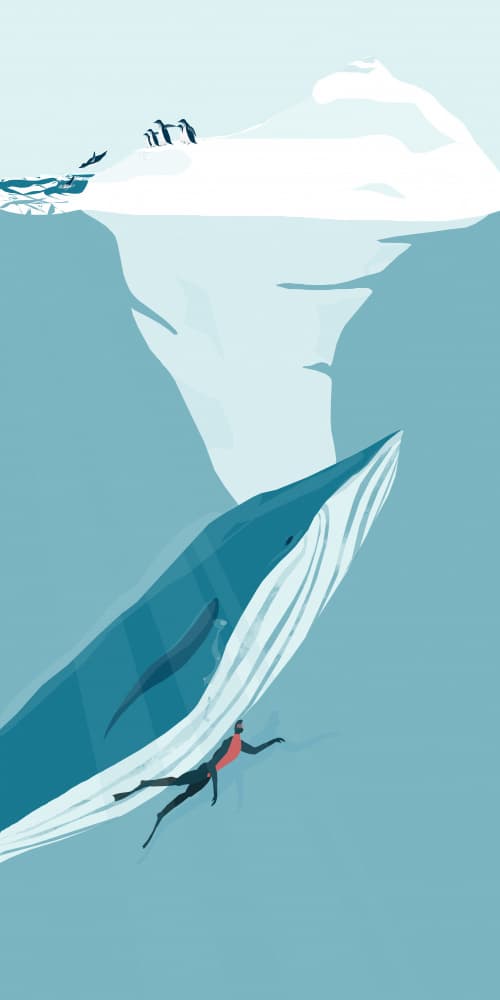 Arctic Ocean Encounter by Annelien Smet — canvas wall art