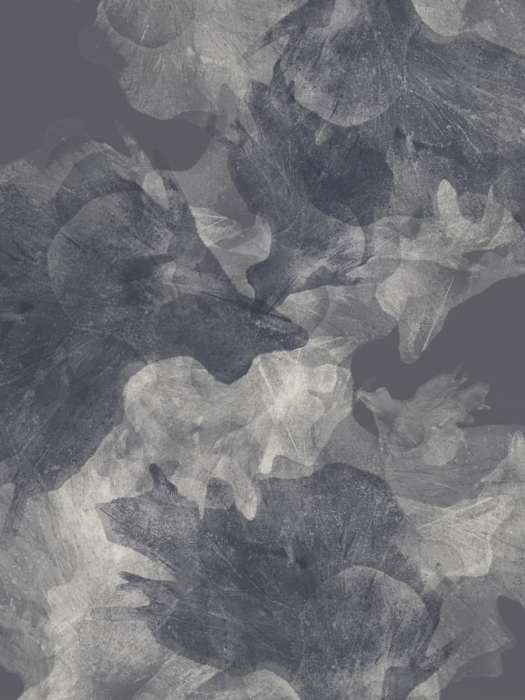 Muted Grey Botanicals by Dina Dankers — canvas wall art