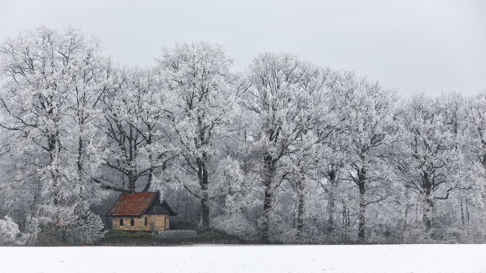 Frosted Winter Cabin by Frank Wijn — canvas wall art