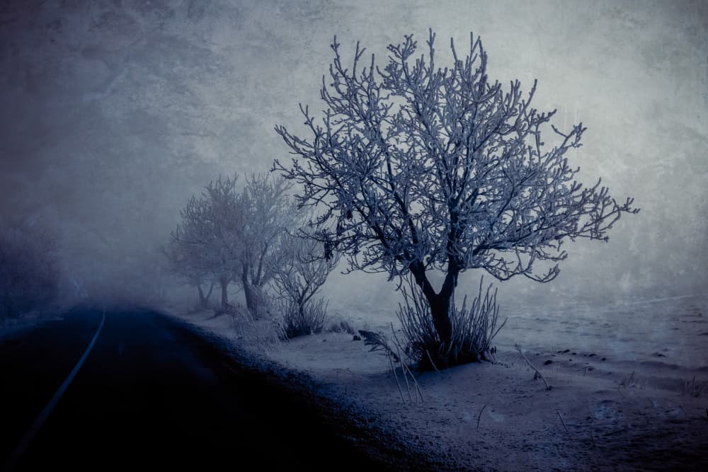 Frosted Winter Path by Farid Kazamil — canvas wall art
