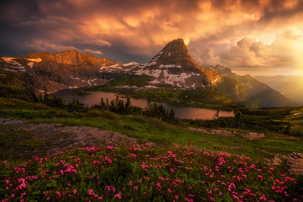 Wildflower Mountain Lake Sunset by Ryan Dyar — canvas wall art