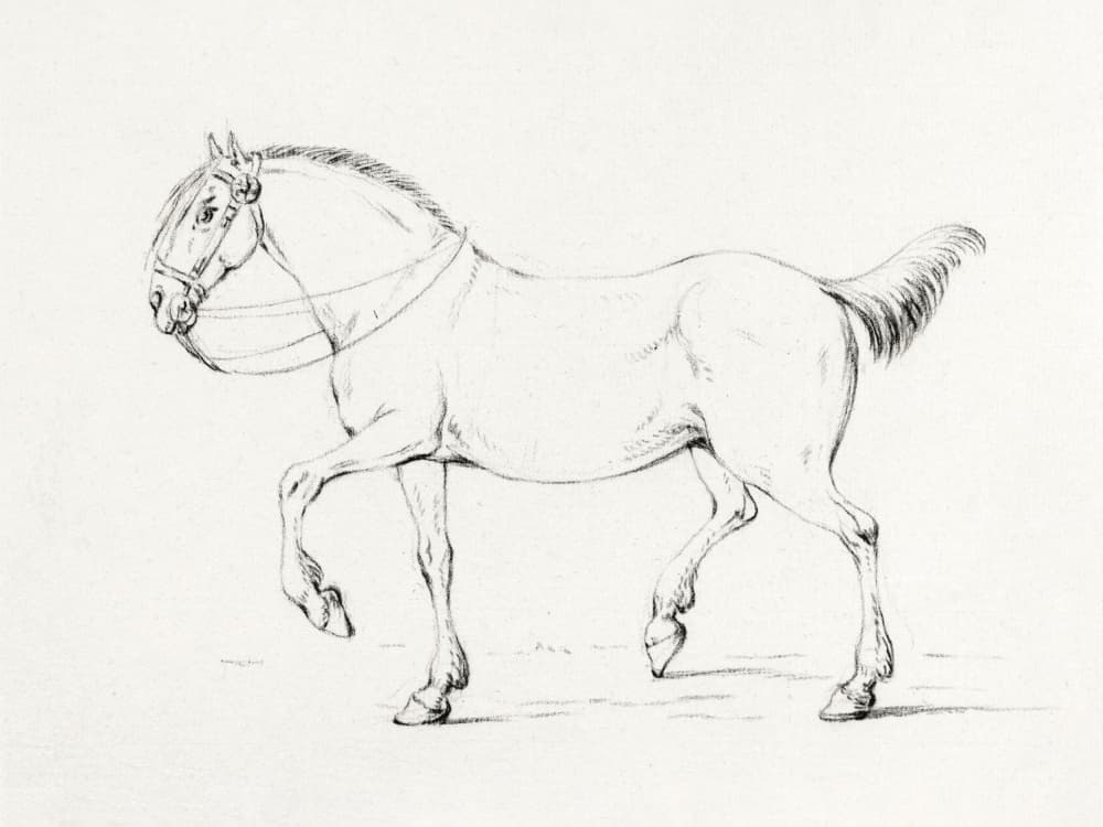 Stepping Horse (1775–1833)
