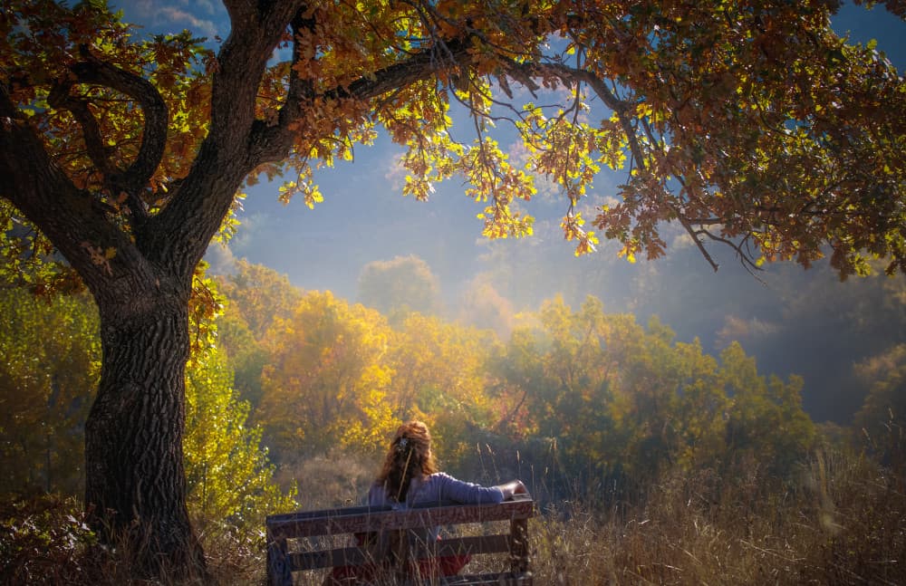 Golden Autumn Solitude by Vio Oprea — canvas wall art