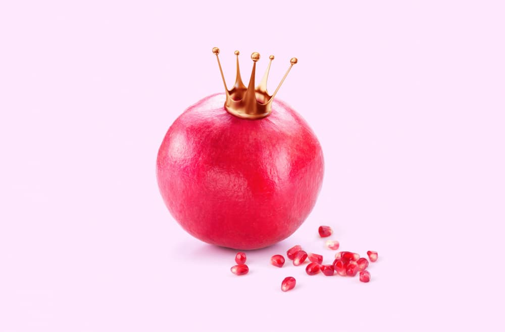Royal Pomegranate by Artem Pozdniakov — canvas wall art