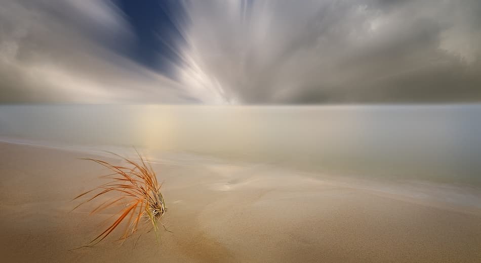 Tranquil Beach Grass by paralaxa — canvas wall art