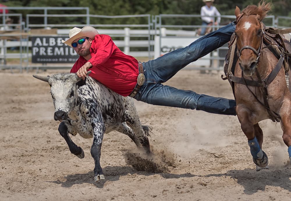 Rodeo Cowboy Steer Wrestle by Henry Zhao — canvas wall art