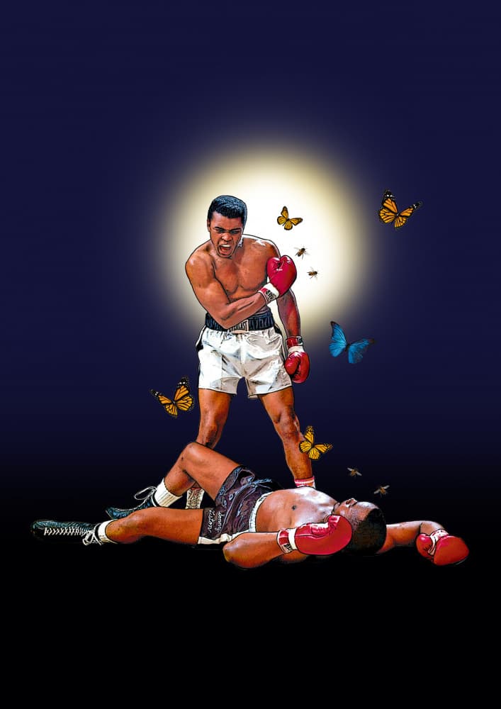 Boxing Triumph Butterflies by Carlo Kaminski — canvas wall art