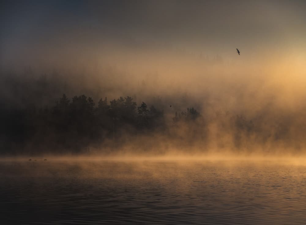 Golden Morning Mist by Hristo Yordanov — canvas wall art