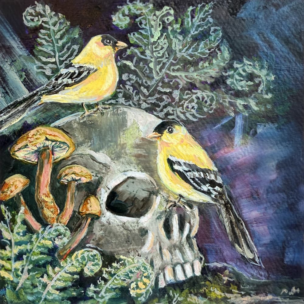 Dark Nature Goldfinches by Renee Machan Cottagecore Artist — canvas wall art