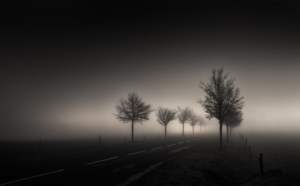 Misty Country Road by Elisabeth van Helden — canvas wall art