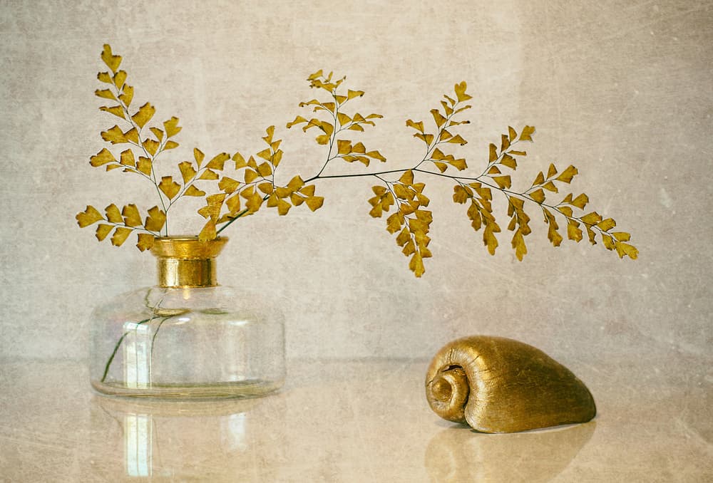 Golden Fern Still Life by Elena Arjona — canvas wall art