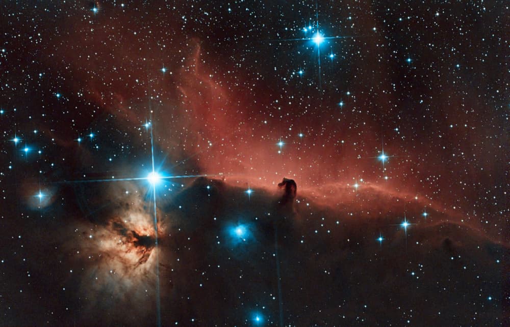 Horsehead Nebula Cosmic Glow by James Zhen Yu — canvas wall art