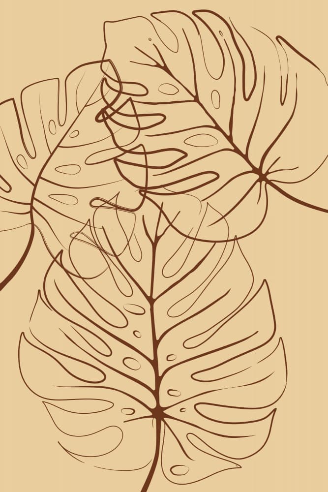 Boho Monstera Leaf Outlines