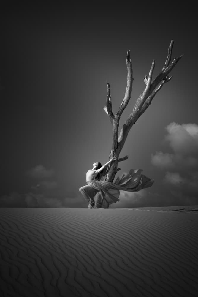 Ethereal Woman Lone Tree by Dekel Abu — canvas wall art