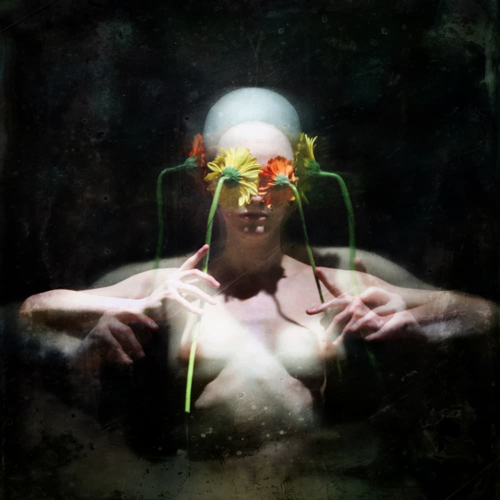 Ethereal Floral Bloom by Yaroslav Vasiliev-Apostol — canvas wall art