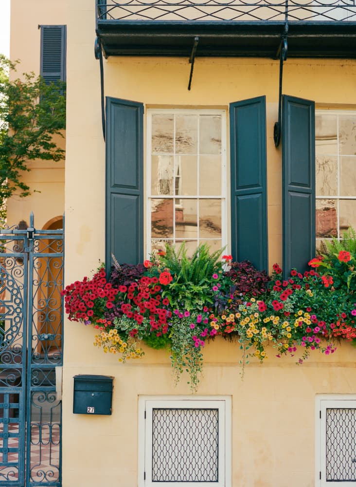 Vibrant Window Box Charm by Bethany Young — canvas wall art