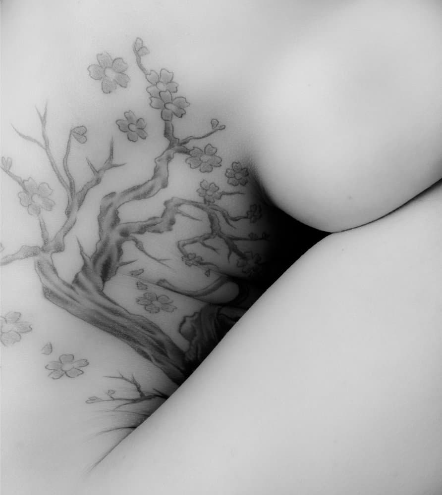 Elegant Cherry Blossom by Cesc Noguera — canvas wall art