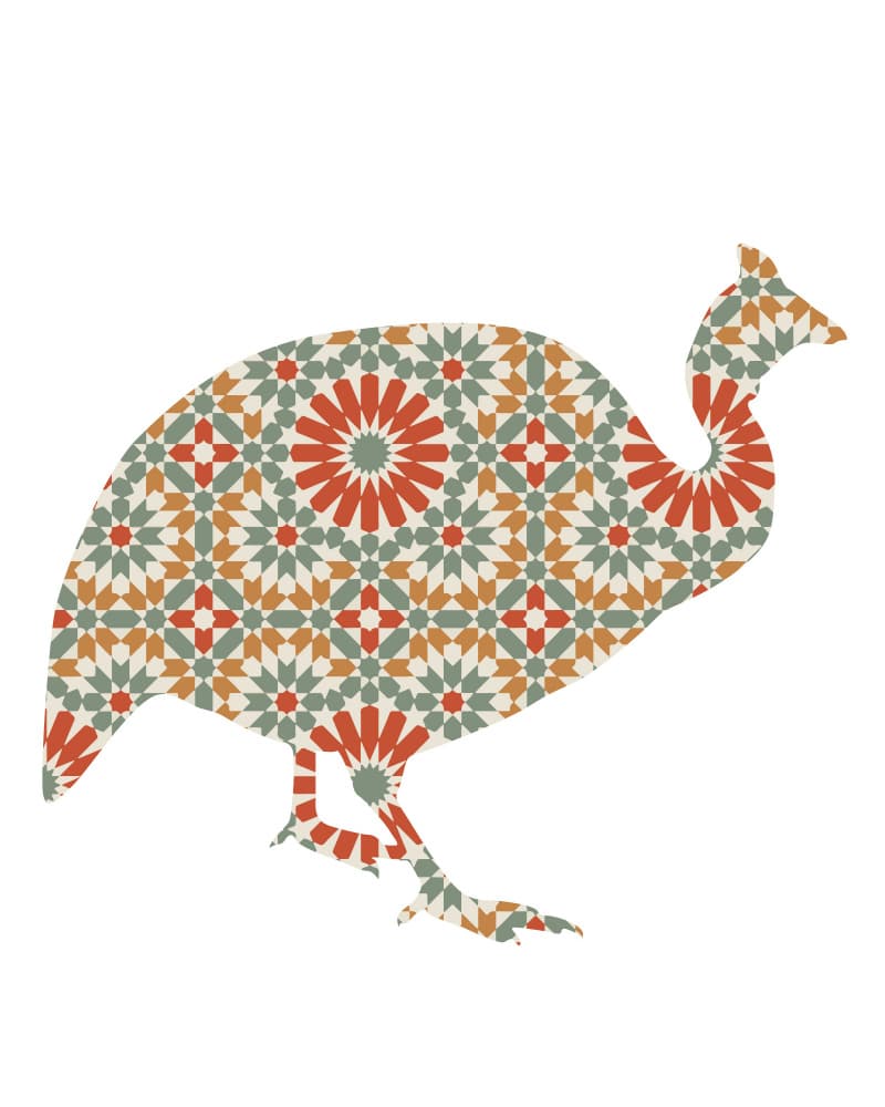 Patterned Guinea Fowl Silhouette by Emiliano Deificus — canvas wall art