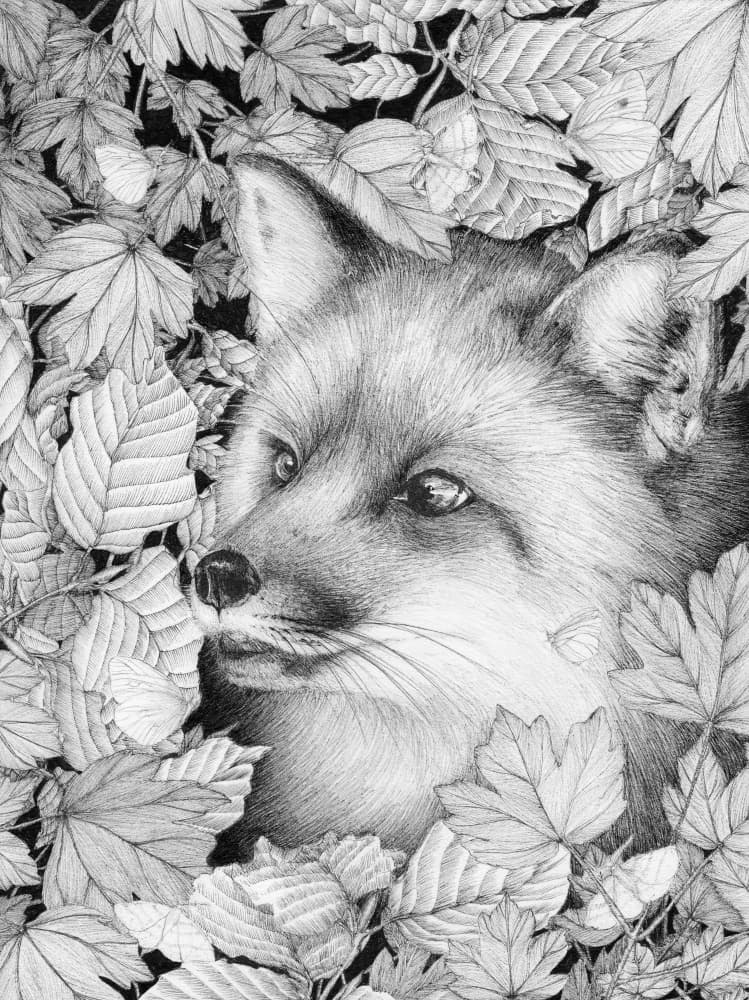 Curious Fox In Foliage by EC Mazur — canvas wall art