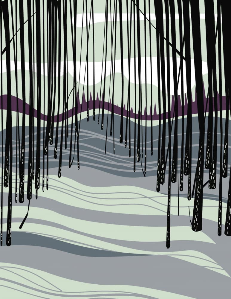 Hanging Willow Landscape by Nicholas — canvas wall art